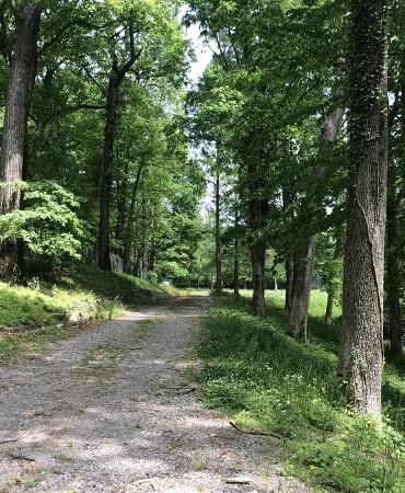Gravel drive at Tusculum Road Park site