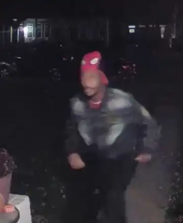 Theft suspect 