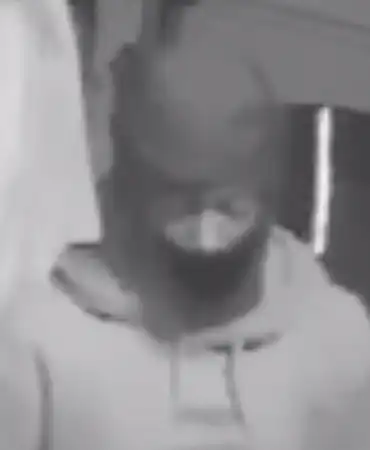 Burglary suspect