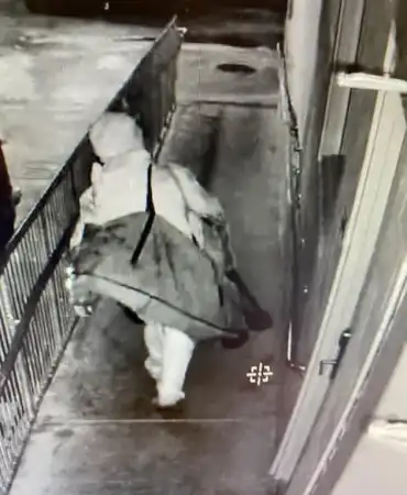 Theft suspect