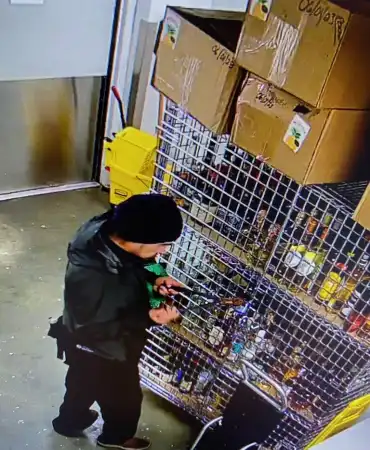 Theft suspect