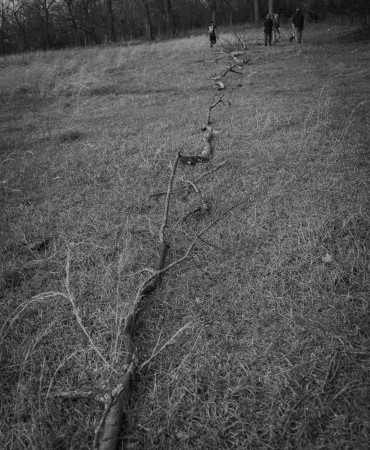 community team preparing a park