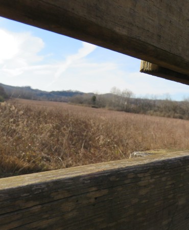 view out of an observation blind in Bells Bend Park