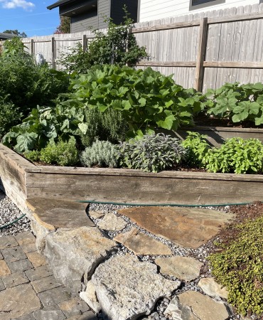 backyard home garden of a Nashville resident
