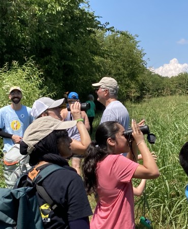 people observing birds with binoculars in a park