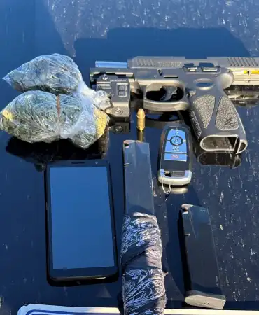 Recovered-Gun