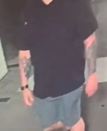 Assault suspect