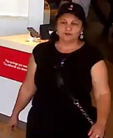Theft suspect