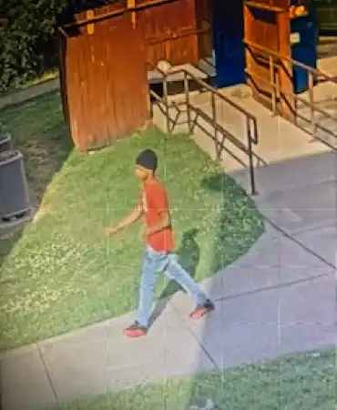 Suspect photo