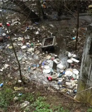 Trash Around Outlet Structure