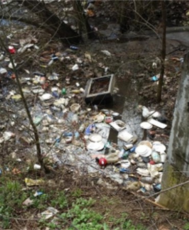 Trash Around Overflow Structure