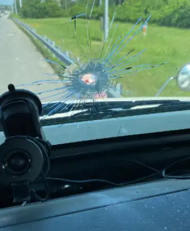 Windshield
