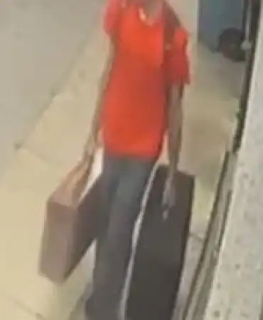 Burglary suspect