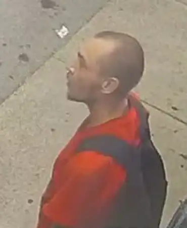 Burglary suspect