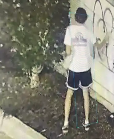 Suspect
