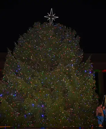 2022 Christmas Tree