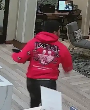 Theft suspect