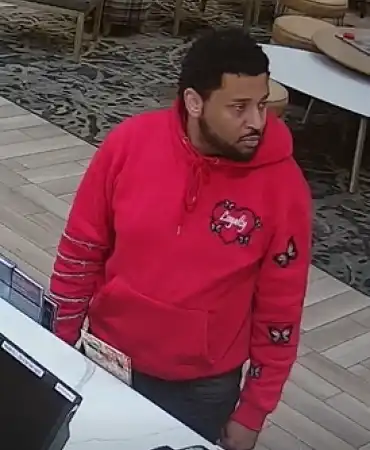Theft suspect