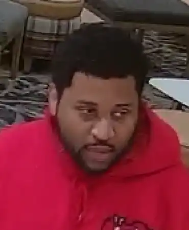 Theft suspect