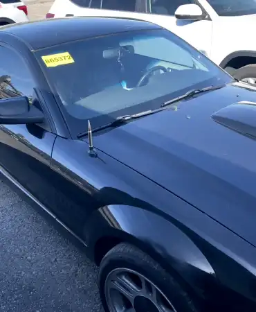 Impounded Mustang