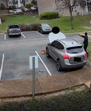Homes surveillance footage