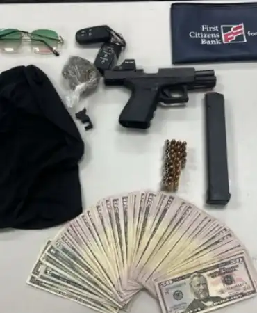 Recovered guns