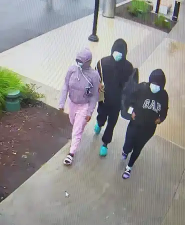 Shoplifting suspects