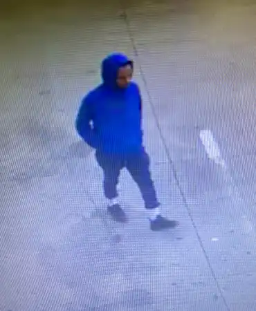 Stabbing Suspect, June 21, 2024