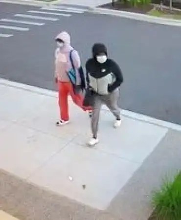 Shoplifting suspects