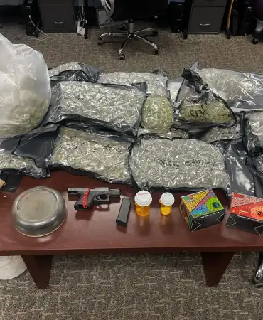 Recovered marijuana and gun