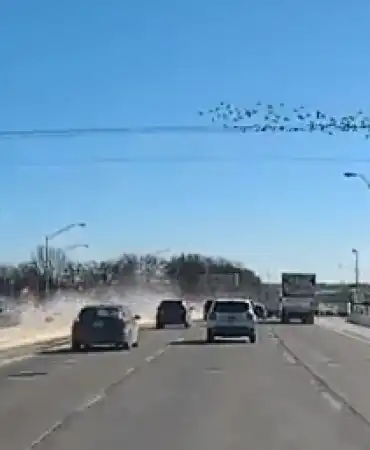 Suspect vehicle