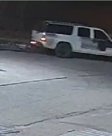 White-SUV