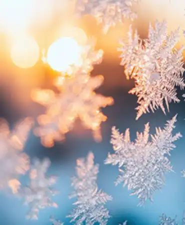photo: ice on window glass.