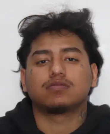 Leonel Vargas Jr., 24