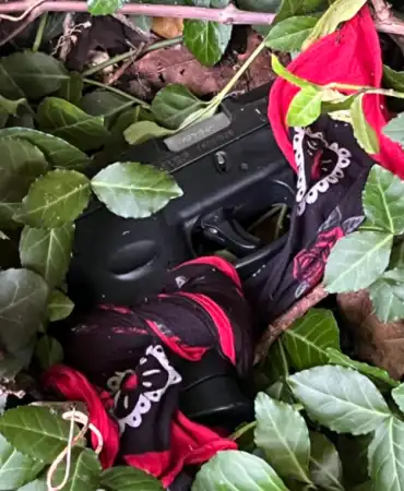 Recovered gun