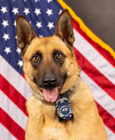 K-9 Nala