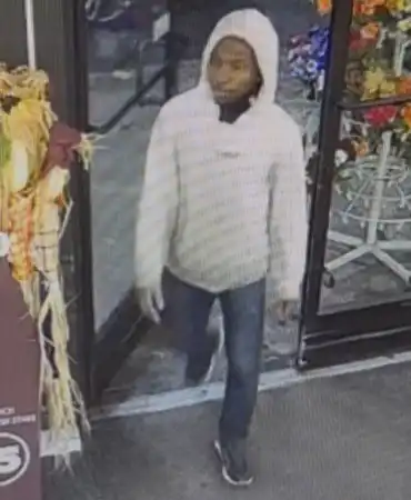 Robbery suspect 