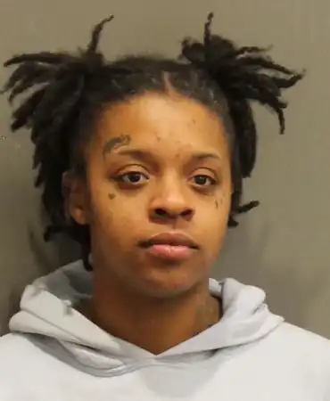 Kashmere Black-Draine, 27