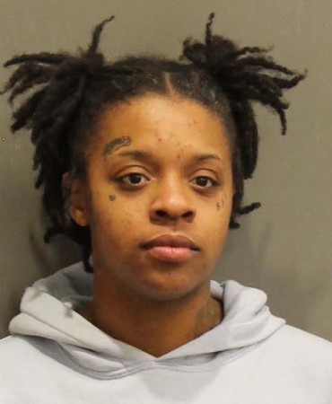 Kashmere Black-Draine, 27