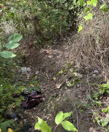 Location of Recovery