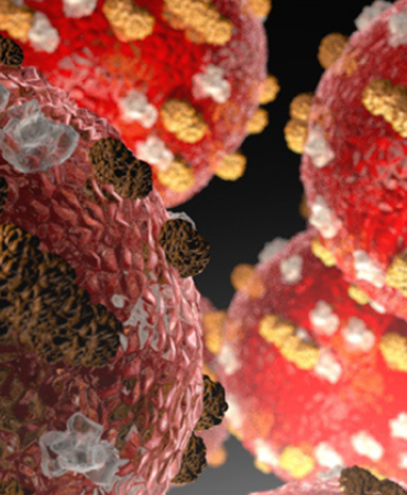Image of a microscopic view of the Measles Virus