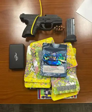 Recovered gun