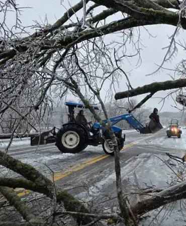 tractor working to clear tree on icy road