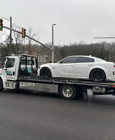 Seized vehicle