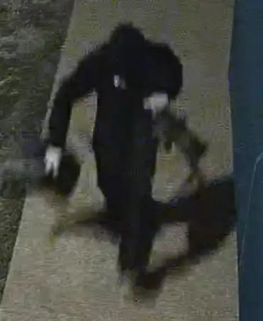 Suspects