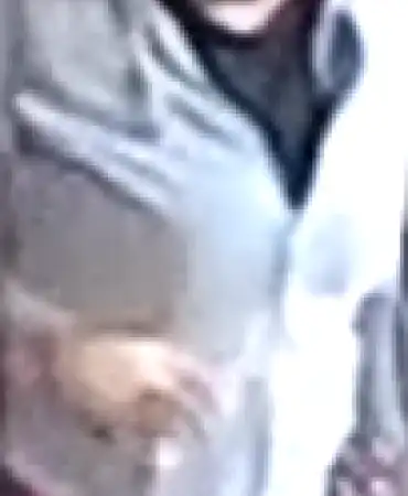 Suspect