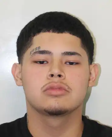 Edgar Saul Beltran Jr., 20