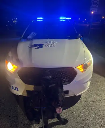 K9 Wick