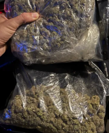 Recovered marijuana