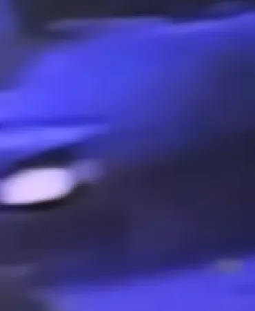 Unknown sedan